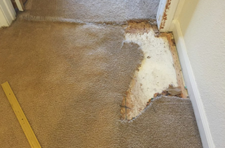 Carpet Repair | RD Carpet Repair | Reno, NV | (775) 250-0926