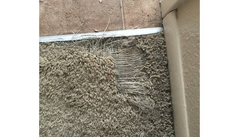 Carpet Repair | RD Carpet Repair | Reno, NV | (775) 250-0926
